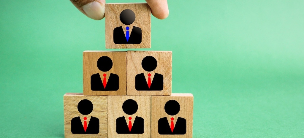 Organizational structure