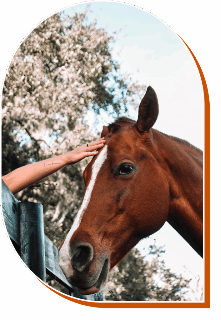 Hand petting a horse near a beautiful flowered tree