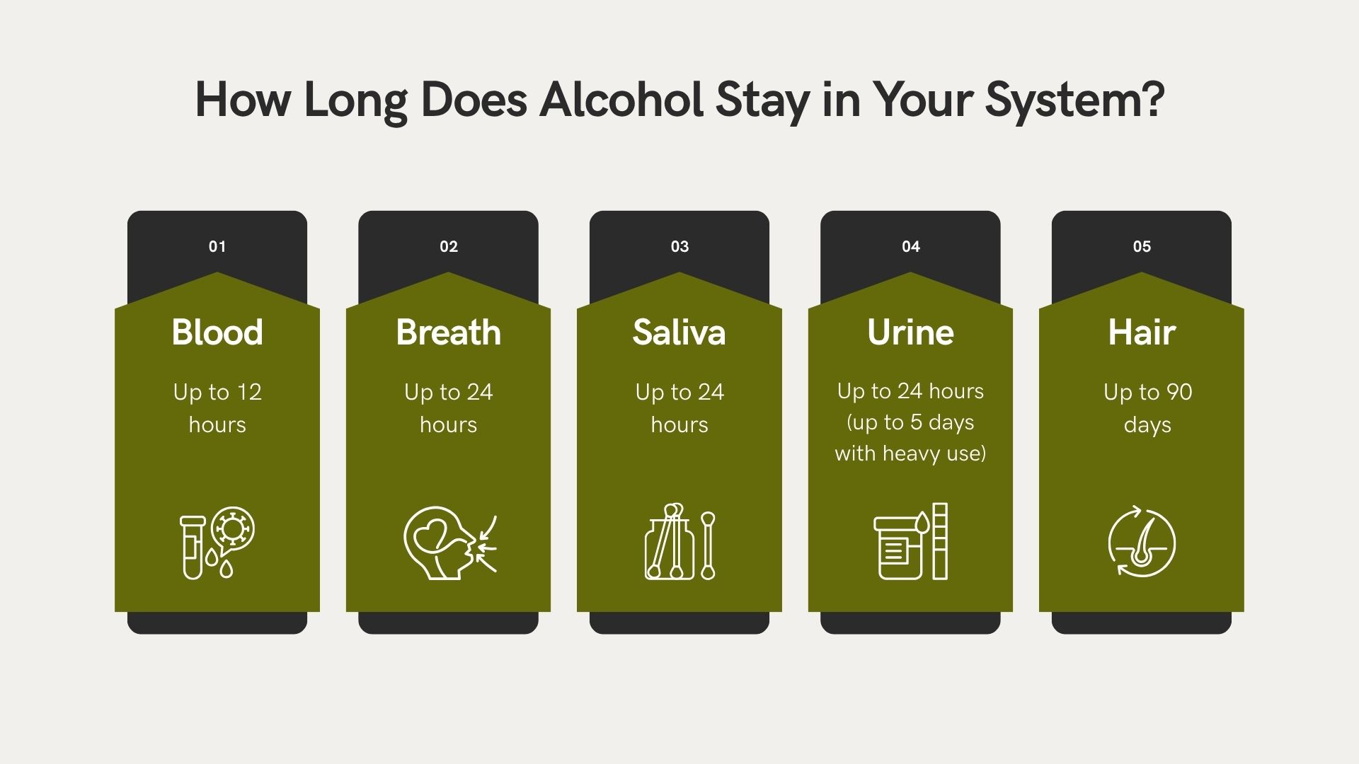 Infographic outlining how long alcohol stays in the body, with detection timelines for blood, breath, saliva, urine, and hair testing methods