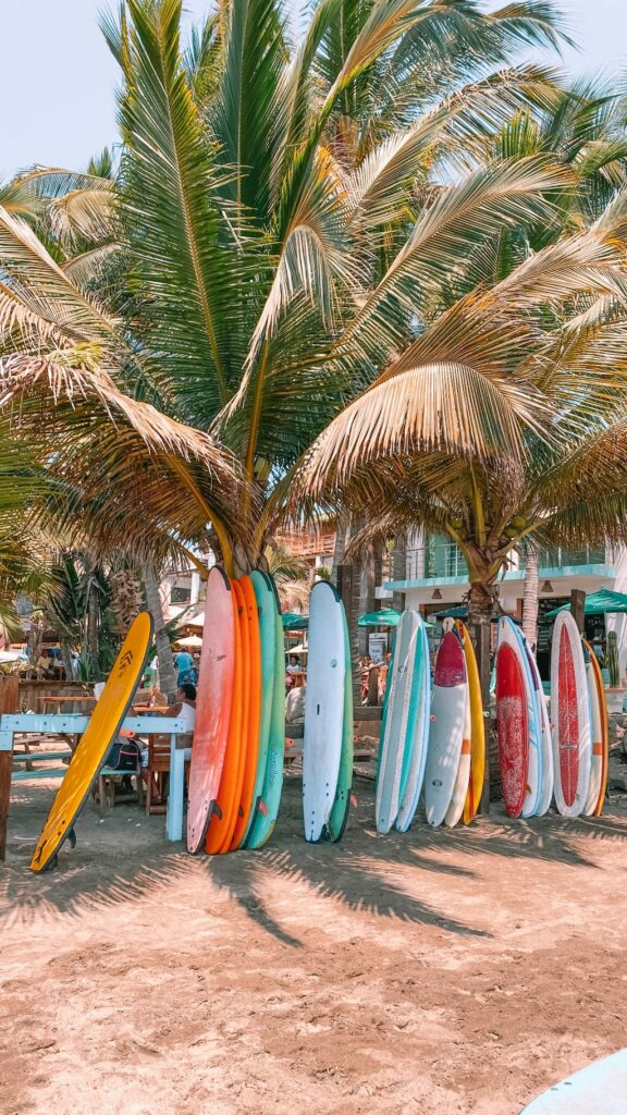 Colorful surfboards lined up beneath palm trees near the beach, representing surf therapy and holistic healing experiences in San Diego.